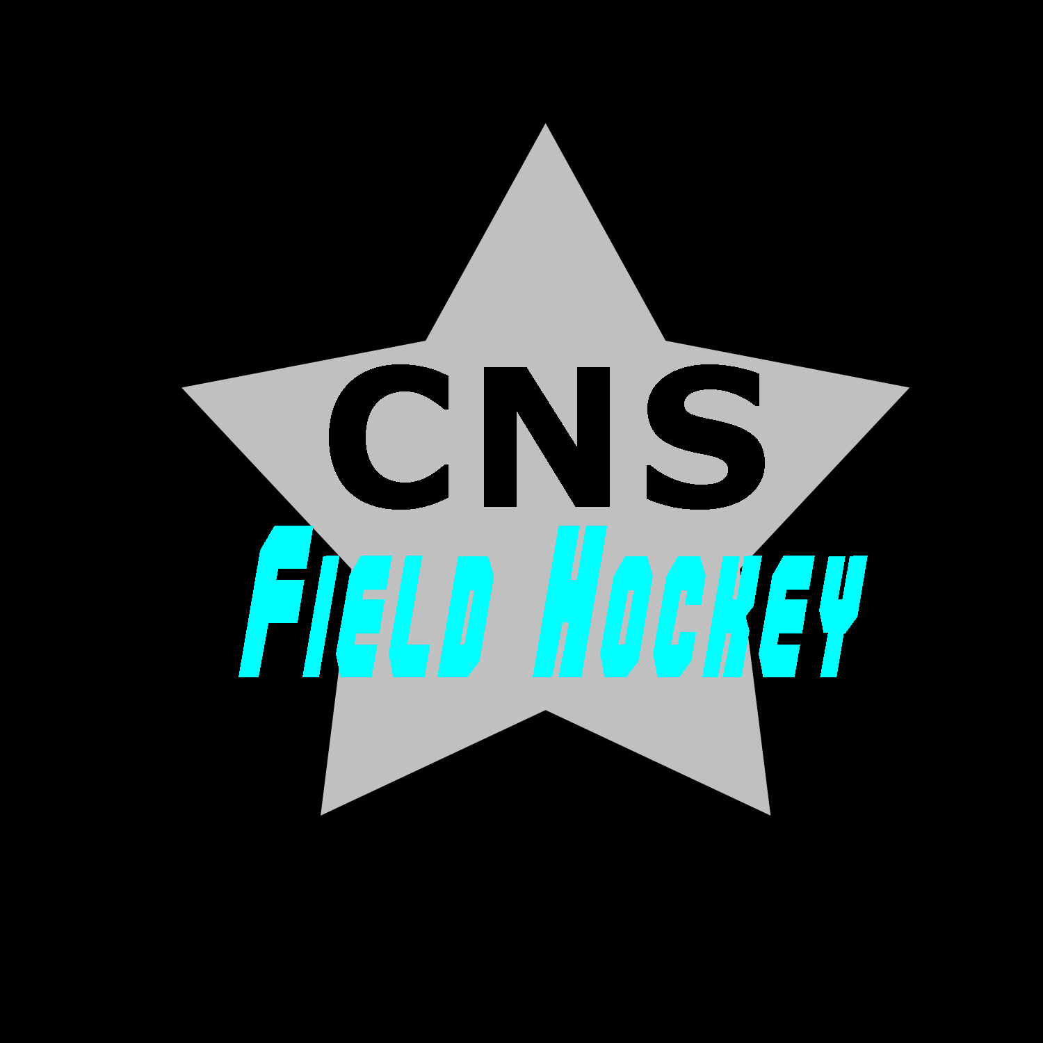 cns_fh_2011