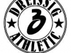 dreissig_logo